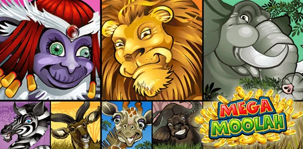 Mega Moolah Slot Review - Learn & Play Mega Moolah Online
